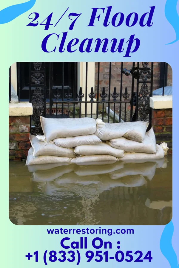24/7 Flood Cleanup in New Bedford, IL